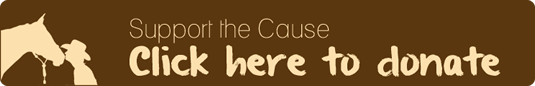 Donate Now