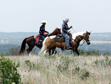 Trail Rider Community