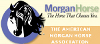American Morgan Horse Association