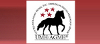 United Mountain Horse / American Gaited Mountain Horse