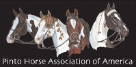 Pinto Horse Association