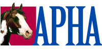 American Paint Horse Association