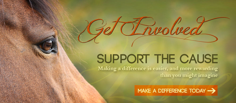 Support the Cause