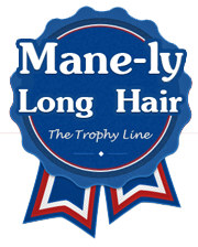 Mane-ly Long Hair