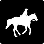 Canter (lope)