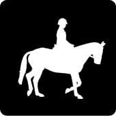 Trot Transitions