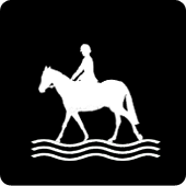 Water Obstacle
