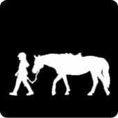 Mount