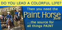 Paint Horse Journal