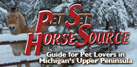 Pet Set Horse Source