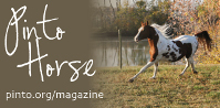 Pinto Horse Magazine 