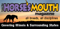 From the Horse's Mouth Magazine