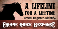 Equine Quick Response