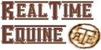 Real Time Equine