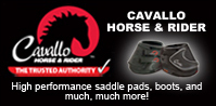 Cavallo