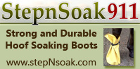 StepnSoak