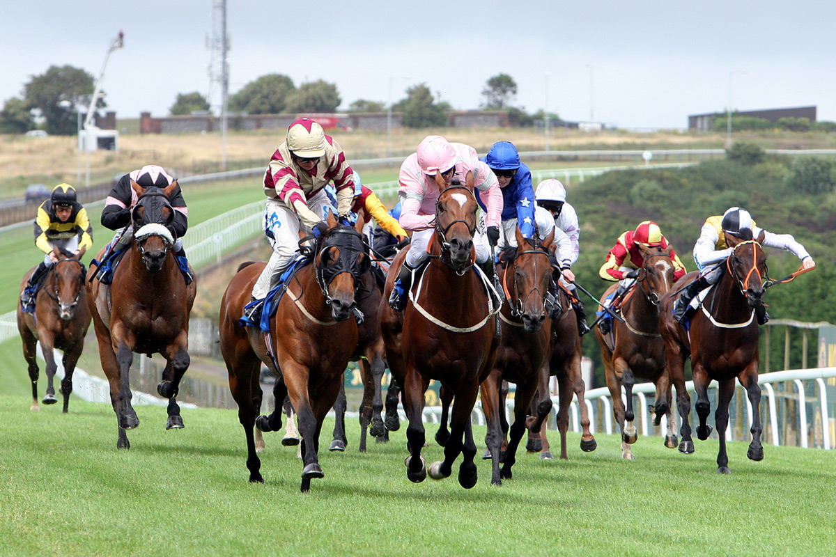 Horses 1